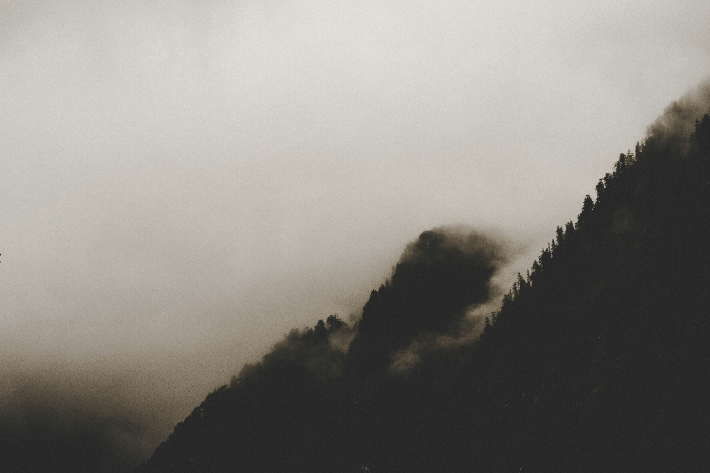 Foggy forested mountainside, atmospheric and dark